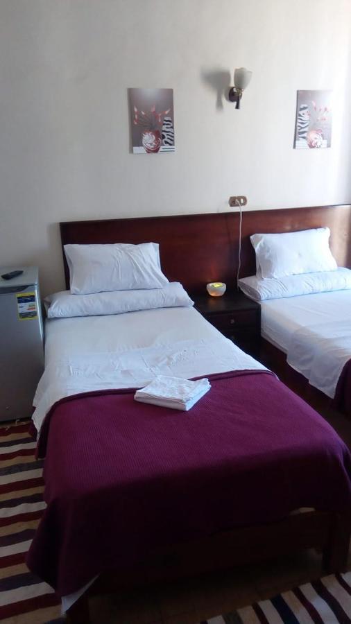 Transit Alexandria Hostel מראה חיצוני תמונה