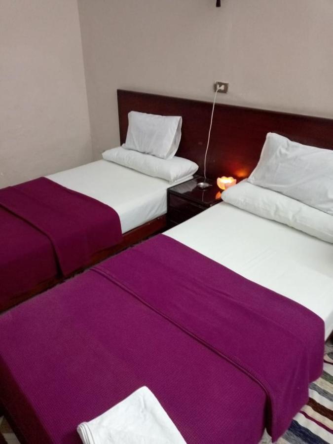 Transit Alexandria Hostel מראה חיצוני תמונה