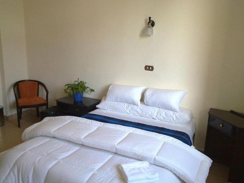 Transit Alexandria Hostel מראה חיצוני תמונה