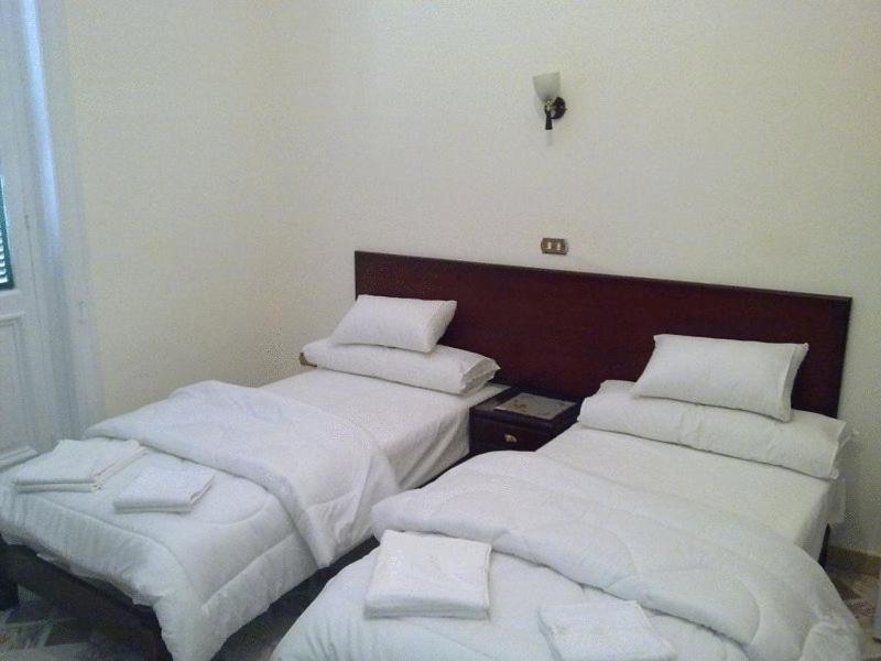 Transit Alexandria Hostel מראה חיצוני תמונה