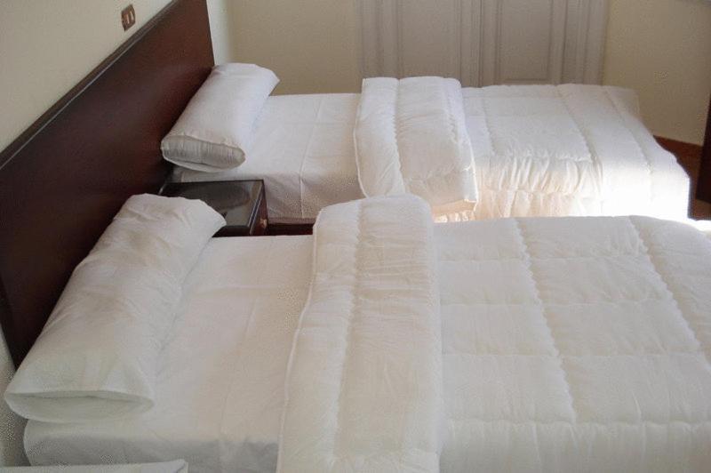 Transit Alexandria Hostel מראה חיצוני תמונה